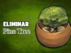 Eliminar Pine Tree